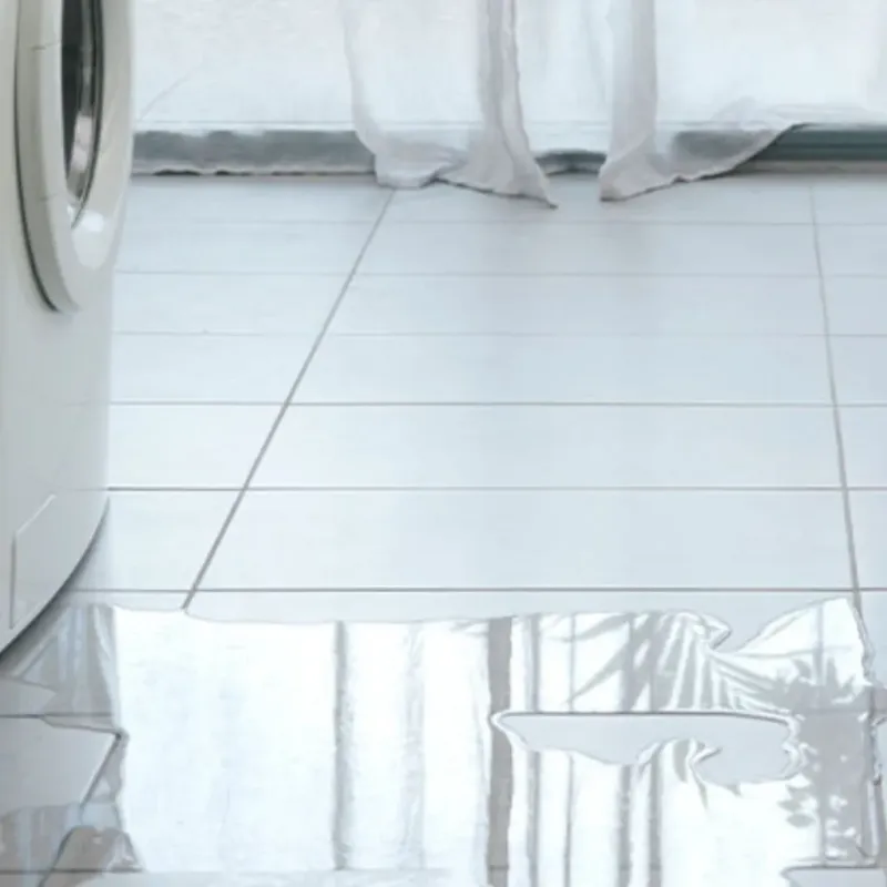Appliance Leak Cleanup in Walnutport, PA