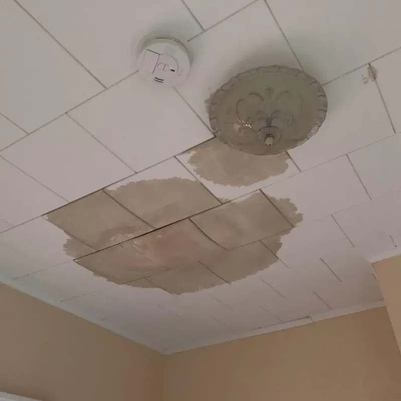 Ceiling Water Damage Repair in Walnutport, PA